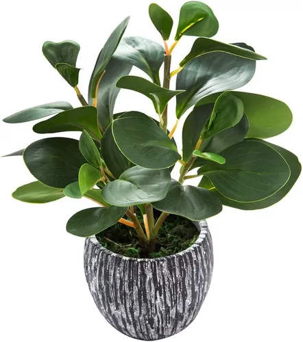 Miniatura 10 de AlphaAcc Plantas Falsas de Aspecto Real Vegetación Plantas Artificiales de Interior Planta en Maceta con Macetero Rústico de Arcilla Negra para Casa