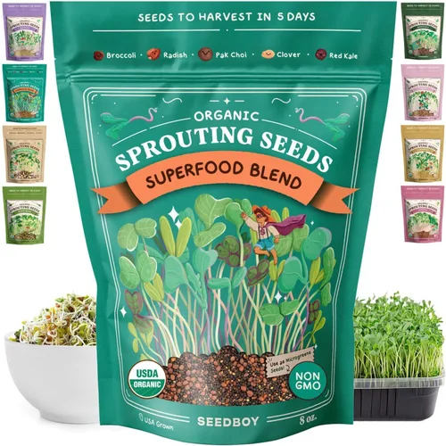 Miniatura 8 de Seedboy Semillas de rábano orgánicas sin GMO para brotes - Semillas de microverdes cultivadas en EE. UU. - Bolsa de 8 oz produce 8 cuartos / 24