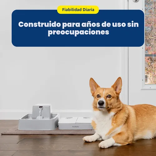 Miniatura 7 de PetSafe Analog 2 Comedero Programable para 2 Comidas para Mascotas, Comedero Automático para Perros y Gatos - Dispensador de Comida Seca