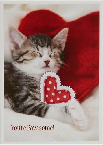 Miniatura 3 de NIQUEA.D, Foto Gatito Y Corazón Almohadas Tarjeta De San Valentín