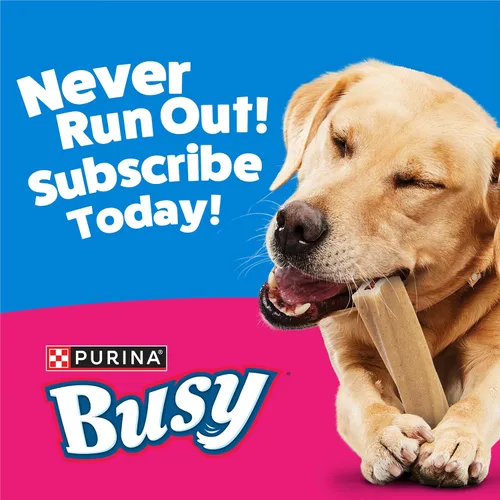 Miniatura 12 de Purina Busy Bone - Golosinas masticables para perros adultos, originales, bolsa de 10