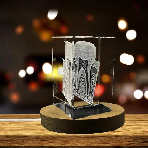 Miniatura 5 de Tooth are Recuerdo de cristal grabado en 3D Regalo para dentista Coleccionable Recuerdo Regalo personalizado de fotos de cristal 3D