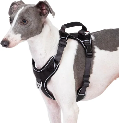 Miniatura 7 de Arnés para perro sin tirones con 2 clips para correa, chaleco reflectante, ajustable y acolchado, clips delanteros y traseros fáciles de caminar