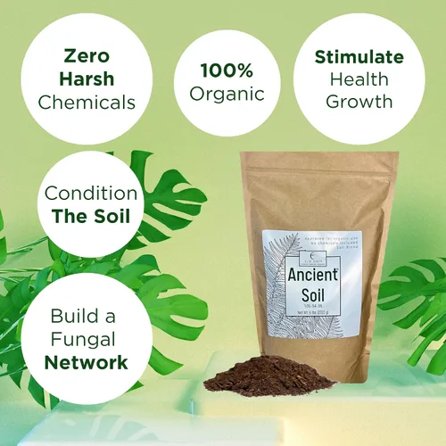 Miniatura 3 de Elm Dirt Suelo antiguo prémium para todas las plantas, orgánico para uso en exteriores e interiores, suelo de jardín para el crecimiento