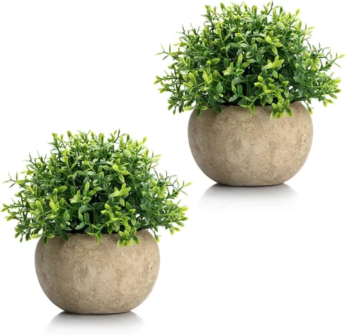 Velener 2 mini plantas artificiales de boj de imitación para interiores, pequeñas plantas falsas para decoración de Magnolia para el hogar, oficina,