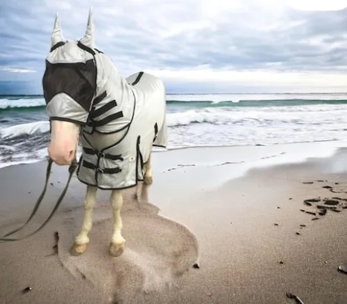 Miniatura 5 de Majestic Ally Sábana para mosca de caballo con cubierta para el cuello y máscara para la cabeza, protección transpirable contra los rayos UV