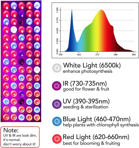 Miniatura 3 de Luces LED de crecimiento, lámpara de cultivo de espectro completo con luces LED IR y UV para plantas de interior, micro verdes, clones, suculentas