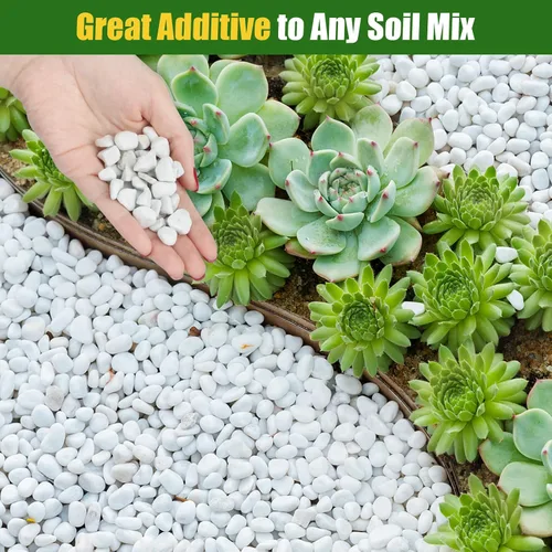 Miniatura 4 de Doter Perlita gruesa orgánica para plantas (0.4 a 0.8 pulgadas de diámetro), mezcla de acondicionador de aditivo natural para suelos