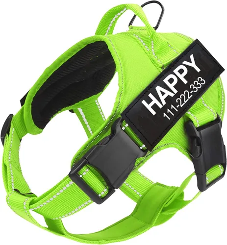Miniatura 5 de Arnés para perro con nombre personalizado con parche personalizado, chaleco para mascotas sin tirones, fácil control para entrenamiento de caminatas