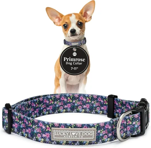 Miniatura 77 de Lucky Love Dog - Collar para perras pequeñas, diseño Blackbird de estampado alegre con flores de primavera y verano, talla XS