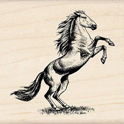 Inkadinkado Sello de madera de caballo para álbumes de recortes y fabricación de tarjetas, 1 pieza de 2.25 pulgadas de ancho x 2.25 pulgadas de largo