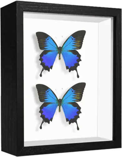 Miniatura 9 de Caja expositora de 8 x 8 pulgadas con calcomanías de letras, vitrina para recuerdos, artículos de bebé, recuerdos de boda, manualidades, boletos