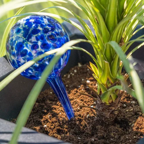 Miniatura 2 de Evelots Globos de riego de plantas (paquete de 3) - Vidrio soplado a mano - Sistema automático de riego de agua - Interior/exterior - Deja tu hogar