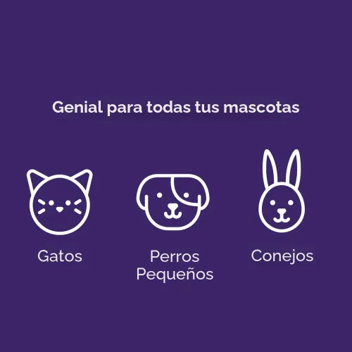 Miniatura 5 de Sistema de eliminación y cartuchos de recarga de arena para gatos Litter Genie, Total 1, Plateado