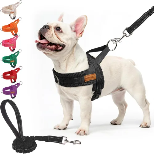 Miniatura 30 de BEAUTYZOO Arnés para Perros Pequeños, Juego de Arnés y Correa sin Tirones, Arnés de Chaleco para Cachorros Suave a Prueba de Escapes con Manija