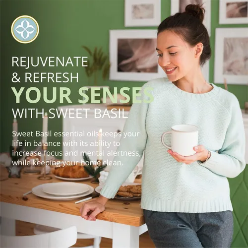 Miniatura 4 de CAPRI ESSENTIALS Jabón líquido para platos, suministros de limpieza naturales para el hogar, detergente aromático para platos a base de plantas