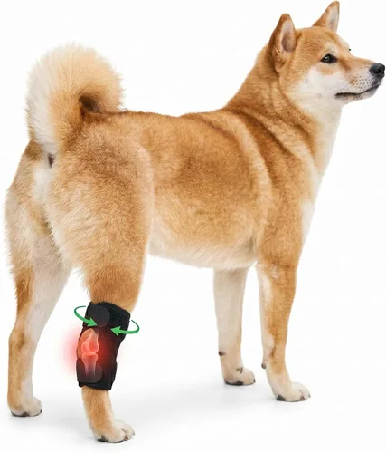 Rodillera para perro para pierna trasera desgarrada ACL, soporte de articulación de corvejón trasero canino, protección contra lesiones articulares
