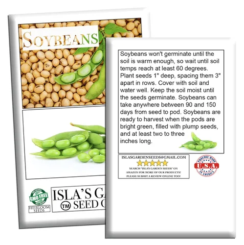 Miniatura 6 de Semillas de soja (Glycine max) – Más de 25 semillas sin OMG y reliquias de Isla's Garden Seeds, frijoles comestibles nutritivos para cultivo