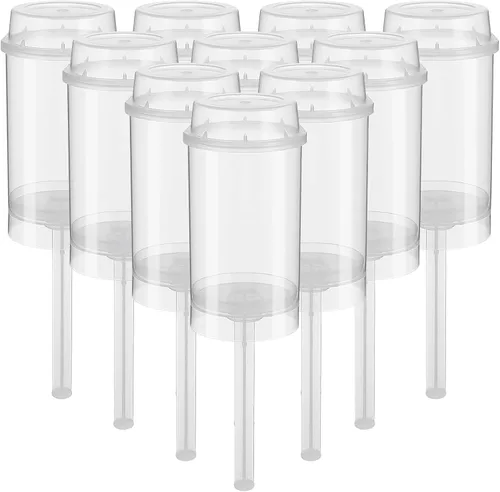 Kichvoe 40 recipientes de plástico transparente con tapas, moldes redondos para tartas para hornear, fiestas, bodas, postres