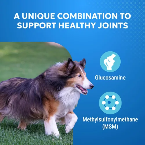 Miniatura 4 de Nutramax Cosequin Suplemento de salud articular de fuerza estándar para perros, con glucosamina y MSM, 75 tabletas masticables (paquete de 2)