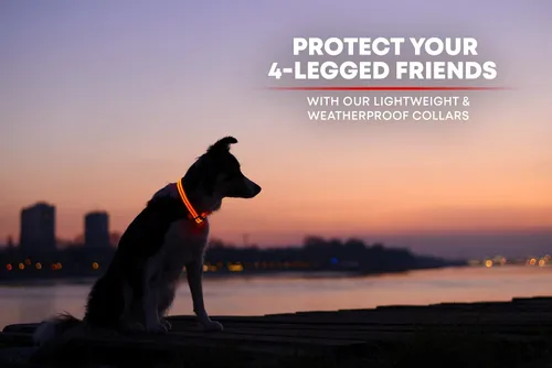 Miniatura 6 de Collar para perros LED Illumiseen, recargable por USB, Anaranjado encendido