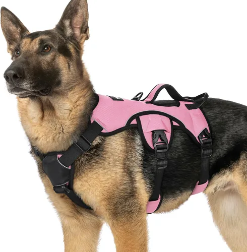 Miniatura 33 de rabbitgoo - Arnés para perro a prueba de fugas, arnés para mascotas acolchado suave de cuerpo completo, chaleco reflectante ajustable sin tirones