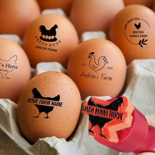 Sellos de huevos para huevos frescos, sello personalizado de huevo de pollo con diseños únicos, marcado de huevos personalizados para regalos de