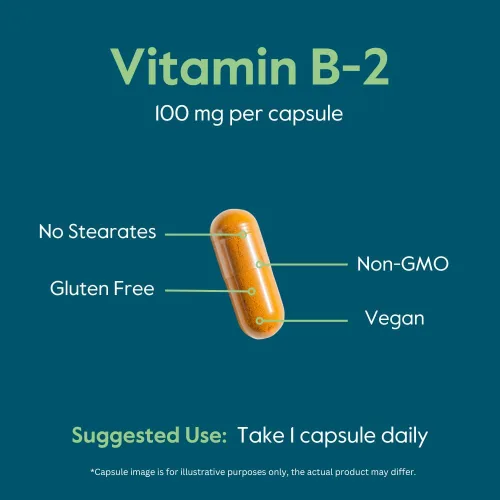 Miniatura 5 de BESTVITE Vitamina B-2 100 mg (240 cápsulas vegetarianas) - Sin estearatos - Sin fosfato dicálcico - Vegano - Sin OMG - Sin gluten