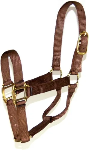 Miniatura 18 de Hamilton Quality Horse Halter, nailon de triple capa de 1 pulgada, anilla o burro estándar, 300-500 libras, rojo Rojo (Red Brick)