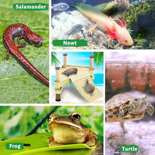 Miniatura 9 de Keedolla Pequeño Muelle Flotante de Reptil Acuático Plataforma de Toma de Sol para Acuario, Plataforma Decorativa de Reptil Acuario con Rampa