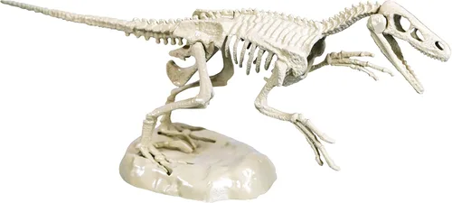 Miniatura 6 de CLEMENTONI 59174 Galileo Science Excavation Kit Velociraptor Juguete para niños mayores de 7 años cavando fósiles de dinosaurios con martillo