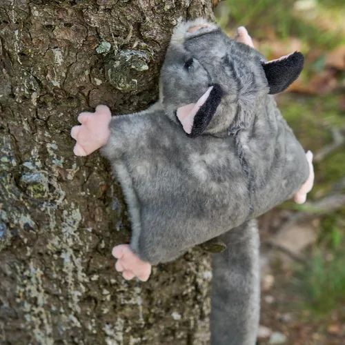 Miniatura 7 de The Petting Zoo Planeador del Azúcar Peluche de Animales, Regalos para Niños, Wild Onez Animales de la Vida Silvestre, Juguete de Peluche Planeador