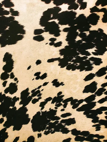 Miniatura 9 de Tela de ante de terciopelo Udder Madness para tapicería con diseño de vaca, 137 cm de ancho, vendida por yardas (Vaca grande marrón)