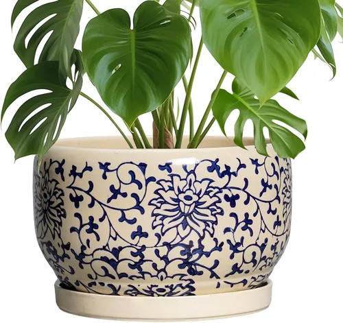 Miniatura 40 de SQOWL Macetas de cerámica – Maceta de 6 pulgadas con orificio de drenaje y bandeja, maceta redonda para plantas de interior, maceta decorativa