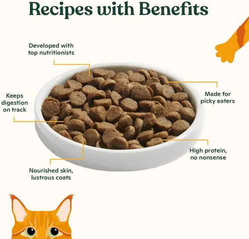 Miniatura 3 de Made by Nacho Dry Cat Kibble - Bolsa de 2 libras, comida prémium para gatos alta en proteínas y apta para granos, salmón y calabaza capturados