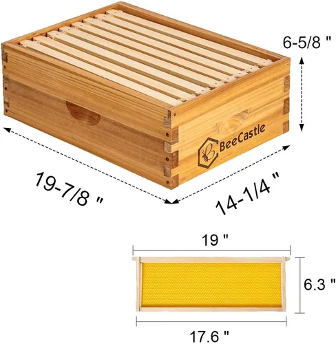 BeeCastle Caja de 8 marcos montados de miel mediana con marcos de colmena y hojas de base revestidas de cera de abejas