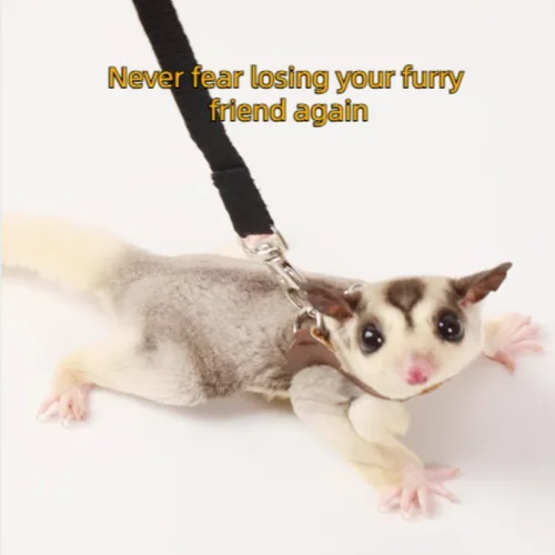 Miniatura 6 de MANON ROSA Sugar Glider - Juego de arnés y correa, chaleco ajustable de 3 piezas a prueba de escapes para ardillas, ratas, ratones, ratones y 01