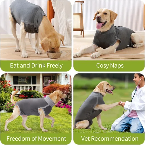 Miniatura 5 de Dotoner Traje de Recuperación Quirúrgica para Perros, Traje para Perros Machos y Hembras, Castración Anti-Lamido, Heridas Abdominales, Traje
