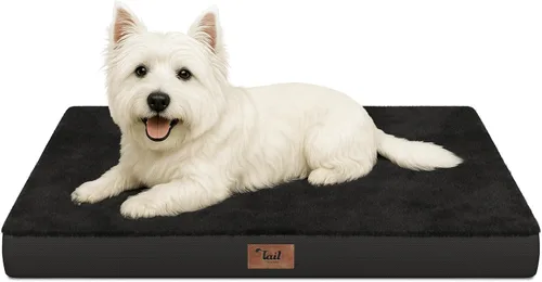 Miniatura 51 de Cama ortopédica de felpa para perros y cachorros medianos, camas impermeables para perros de 30 x 20 pulgadas con funda extraíble lavable, tapete