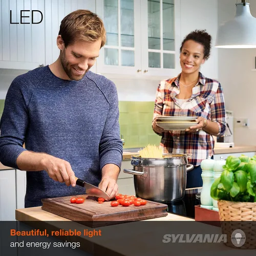 Miniatura 2 de Sylvania ECO - Bombilla LED A19, equivalente a 60 W, eficiente 9 W, 7 años, 750 lúmenes, no regulable, esmerilada, luz diurna de 5000 K, 24