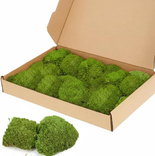 Miniatura 9 de TCYPUHL Cojín de musgo preservado verde oscuro de 1 pies cuadrados para plantas, manualidades de interior, arte de pared, bricolaje, terrarios