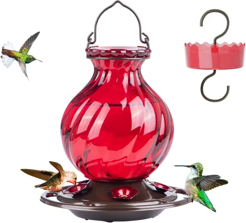 Auslar - Comedero para colibríes, de vidrio de 26 onzas, para colgar en exteriores, a prueba de hormigas y abejas, foso de hormigas y 5 puertos de