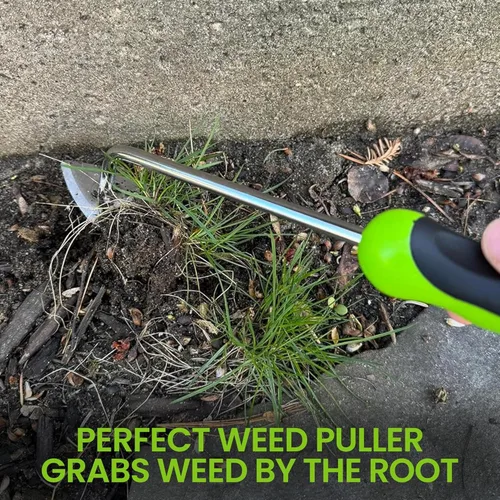 Miniatura 3 de Garden Guru Extractor de grietas de patio, herramienta para eliminar diente de león y raíces - arrancador de malas hierbas de acero inoxidable