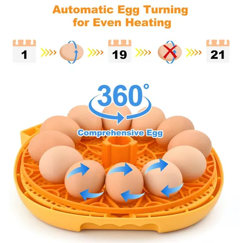 Miniatura 4 de Incubadora de huevos para incubar pollitos, volteador automático de huevos con capacidad para 12 huevos, incubadora inteligente con ventana