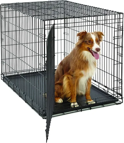 Miniatura 9 de MidWest Homes for Pets Jaula para perros de etapas intermedias de vida con puerta única de 36 pulgadas plegable, seguridad mejorada, incluye bandeja