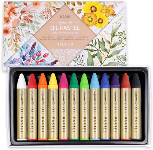 HA SHI Pasteles al óleo solubles en agua para artistas, 12 colores, palitos de arte de acuarela suaves, suministros de arte premium para artistas