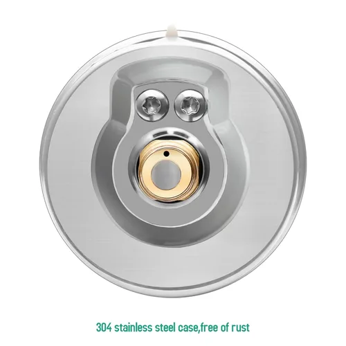 Miniatura 4 de Tridicator, Termo-manómetro, 2-1/2", lleno de aceite de silicona, 0-160psi/30-250 grados F, carcasa de acero inoxidable, 1/4" NPT de montaje trasero