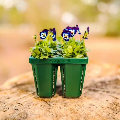 Miniatura 5 de Vego garden Bandejas de plántulas jumbo sin tapas, paquete de 8 bandejas reutilizables para cultivar plantas más grandes, bandejas de germinación