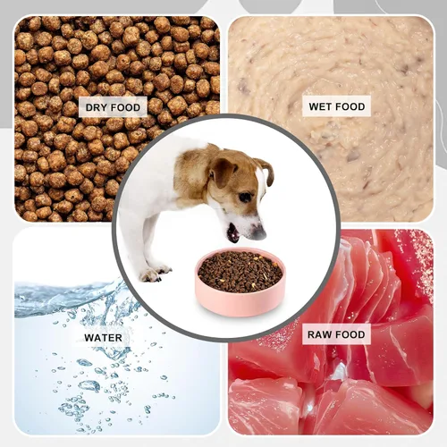 Miniatura 4 de Cuenco de cerámica para perros para comida y agua, cuenco comedero para mascotas para perros pequeños a medianos y gatos de interior, plato de Blanco