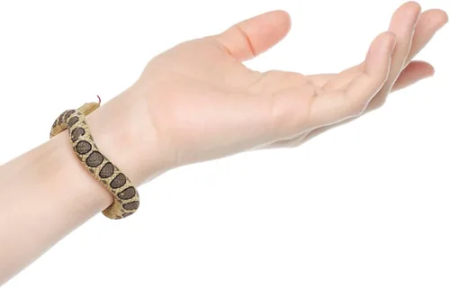 Miniatura 2 de 2 pulseras de serpiente de Halloween, pulsera de serpiente complicada, juguete de broma de pitón para Halloween, día de los inocentes, fiesta